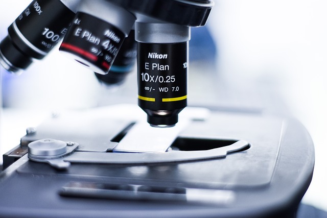 聚氨酯催化劑PT303對聚氨酯軟泡的孔隙結構和物理機械性能的影響