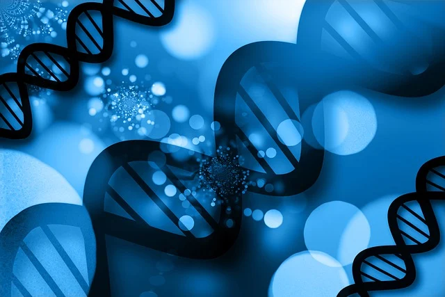 雙(二甲氨基丙基)異丙醇胺在汽車座椅、內飾件和床墊制造中的應用